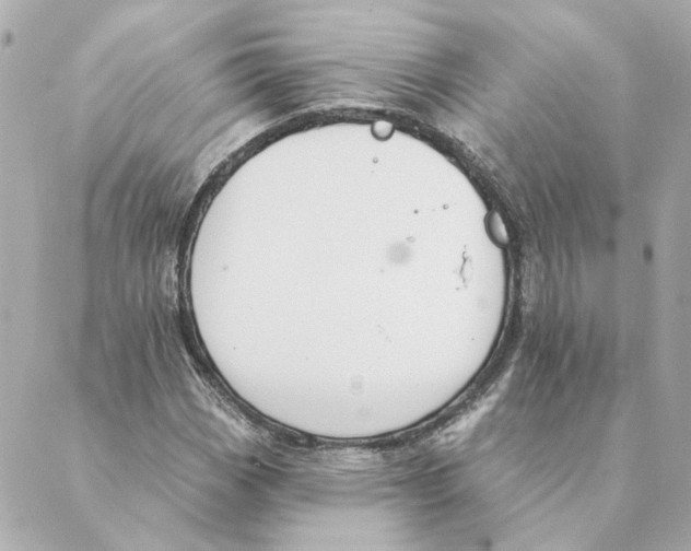 X0000088611113200706221424