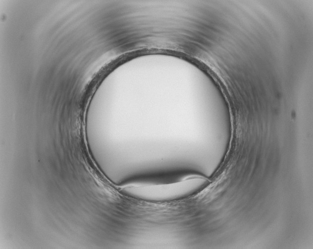 X0000088611115200706221424