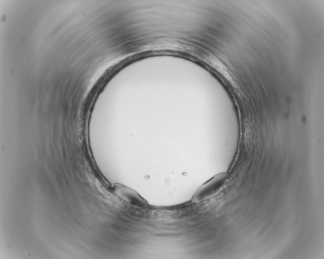 X0000088611116200706221424