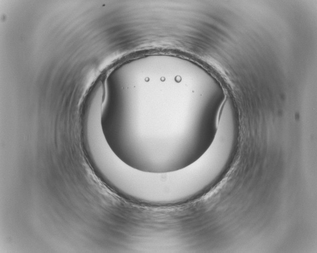 X0000088611118200706221424