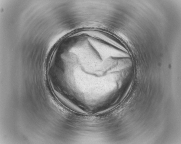 X0000088611120200706221424