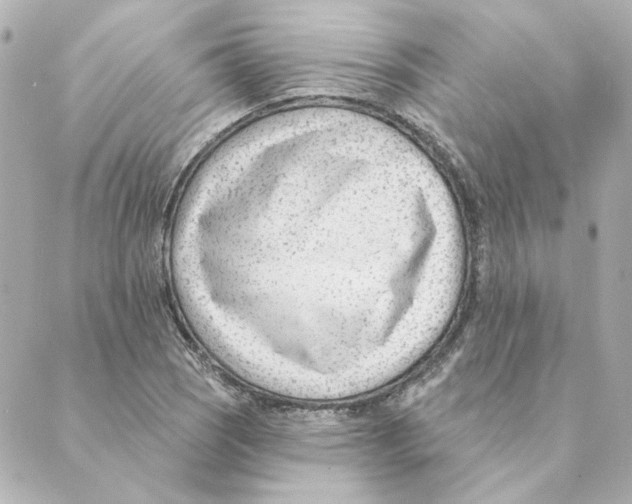 X0000088611121200706221424