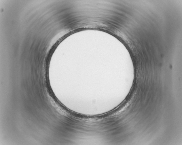 X0000088611122200706221424