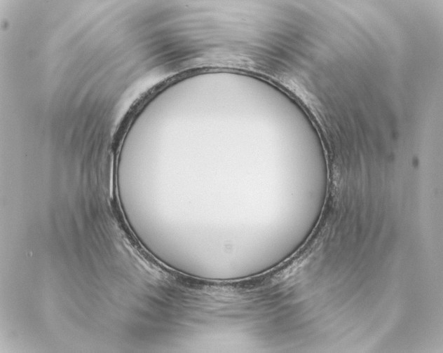 X0000088611123200706221424