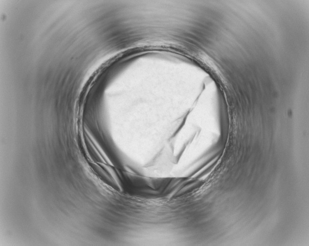 X0000088611124200706221424