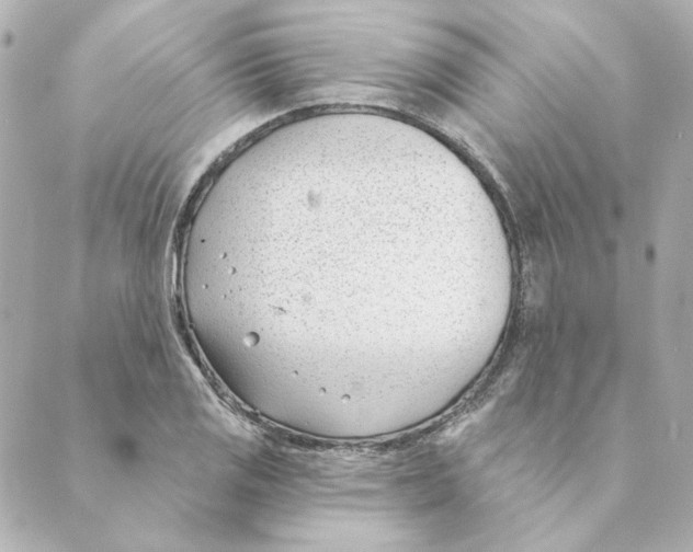 X0000088611125200706221424