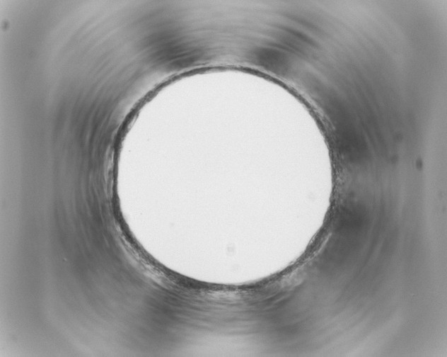 X0000088611126200706221424