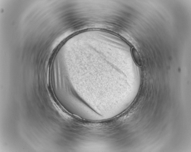 X0000088611127200706221424