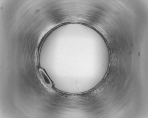 X0000088611128200706221424