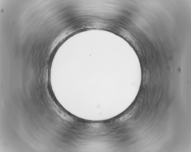 X0000088611130200706221424