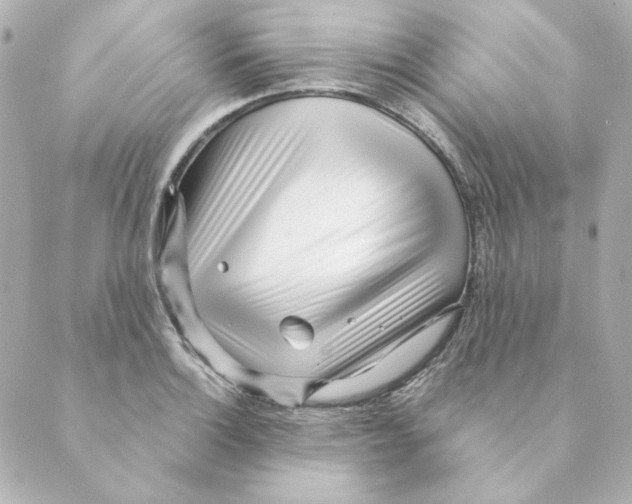 X0000088611132200706221424