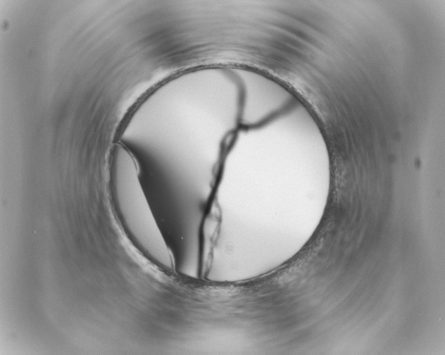 X0000088611134200706221424