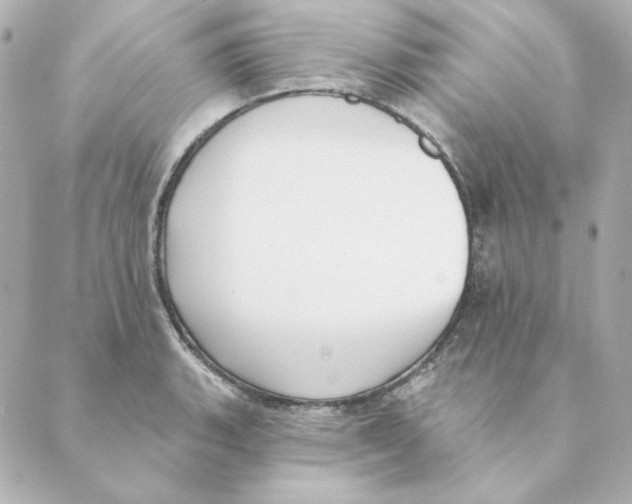 X0000088611135200706221424