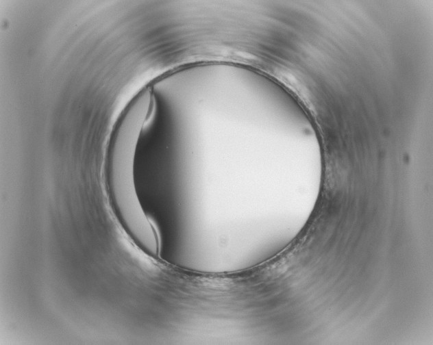 X0000088611136200706221424