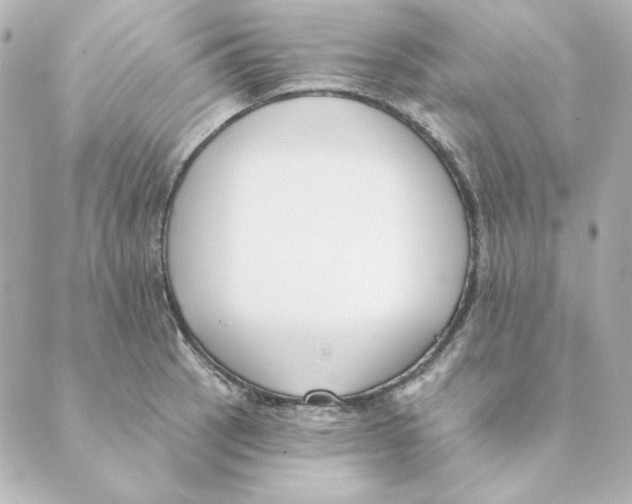 X0000088611137200706221424