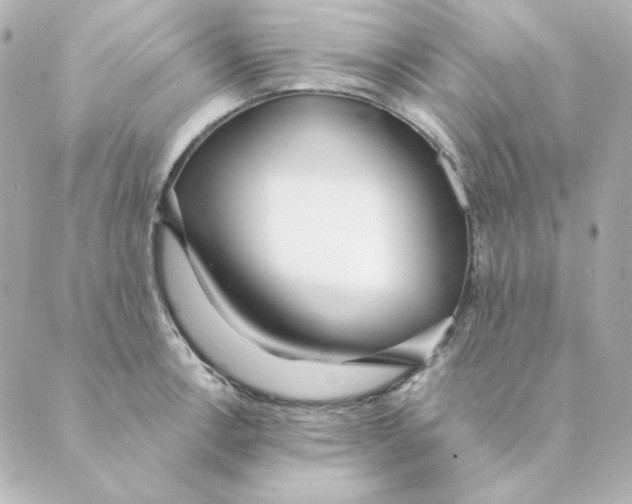 X0000088611138200706221424