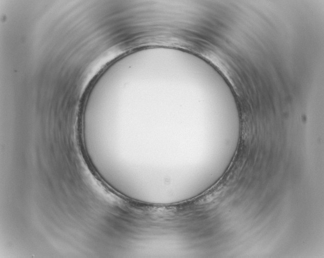 X0000088611139200706221424