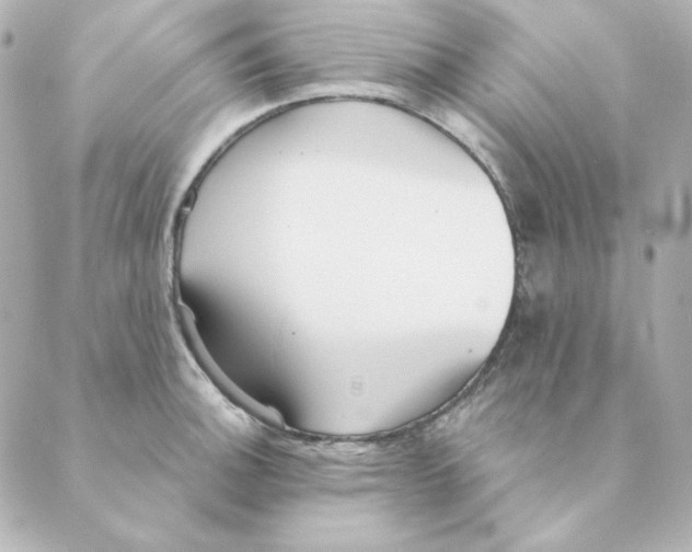 X0000088611140200706221424