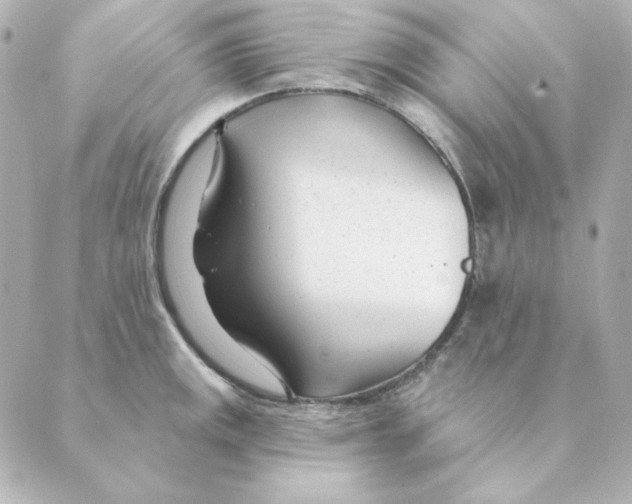 X0000088611141200706221424