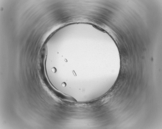 X0000088611142200706221424