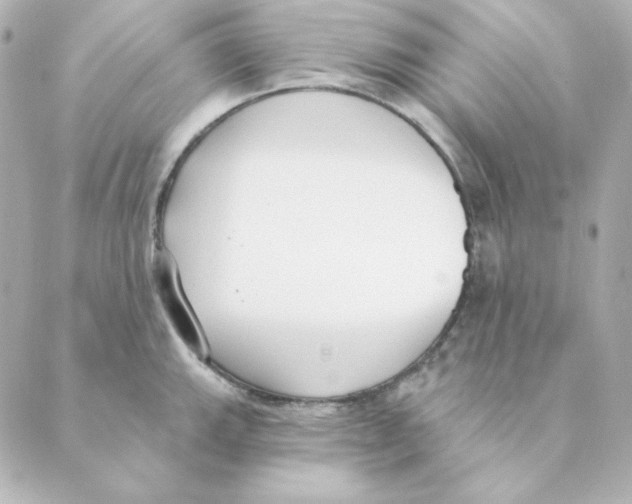 X0000088611143200706221424