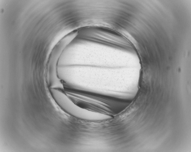 X0000088611144200706221424