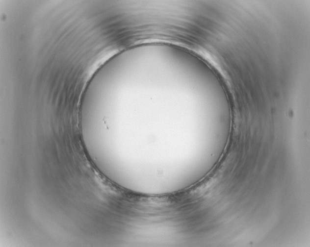 X0000088611145200706221424