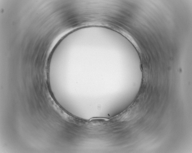 X0000088611148200706221424