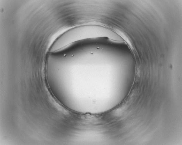 X0000088611149200706221424