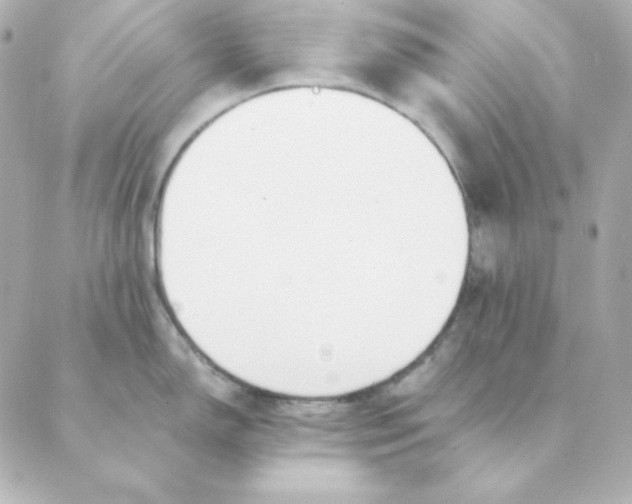 X0000088611150200706221424