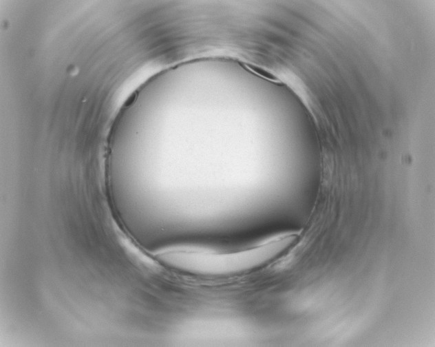 X0000088611151200706221424