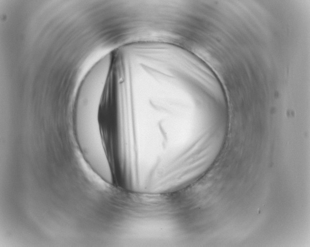 X0000088611152200706221424