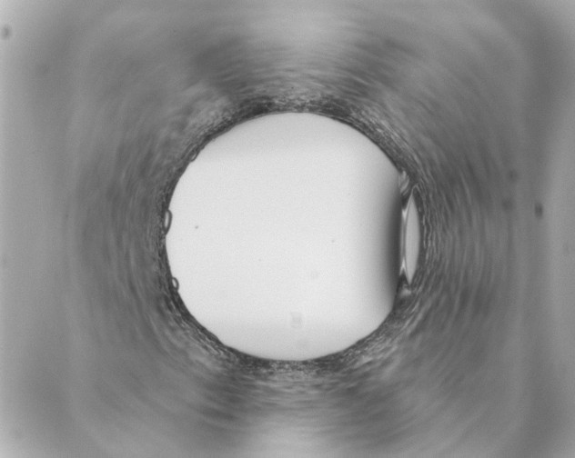 X0000088611153200706221423