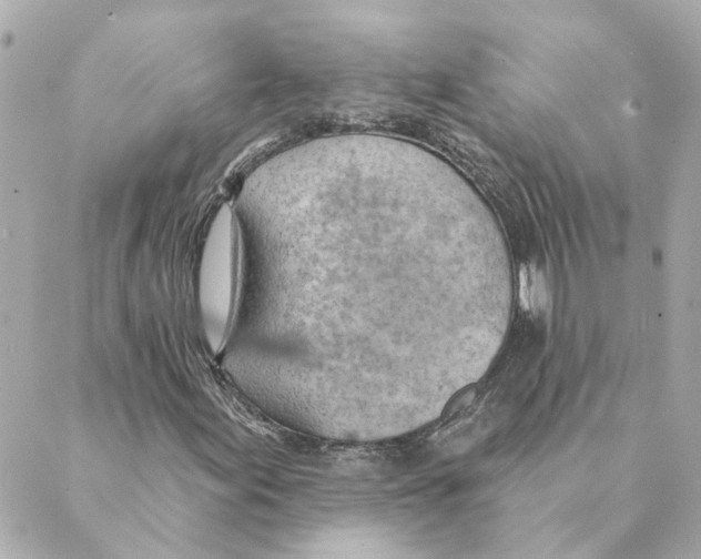 X0000088611155200706221423