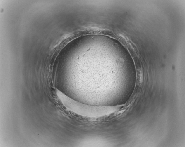 X0000088611157200706221423