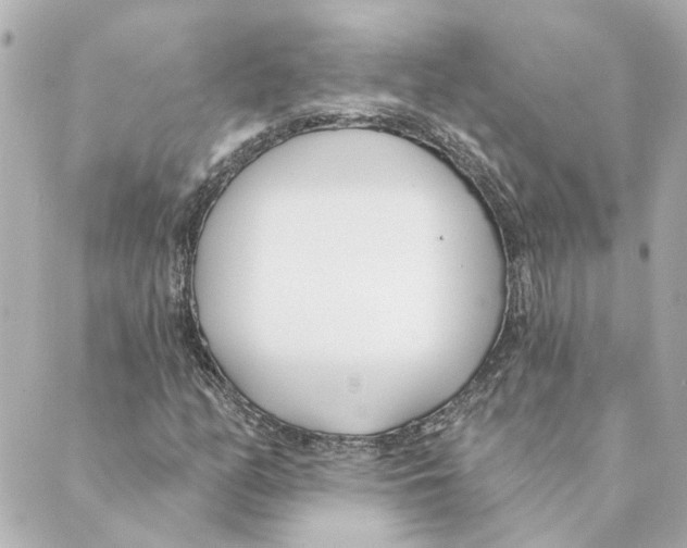 X0000088611158200706221423