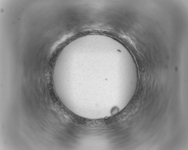 X0000088611159200706221423