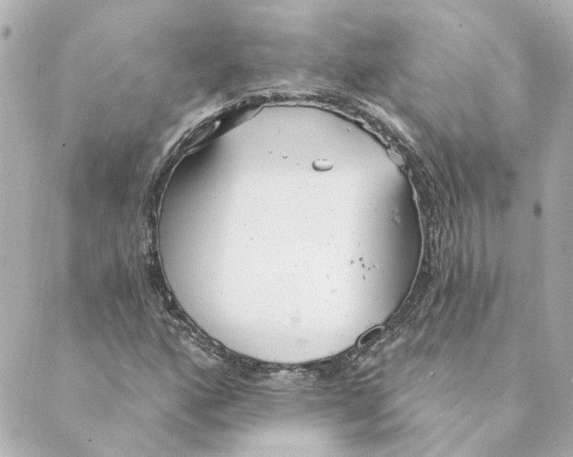 X0000088611160200706221423