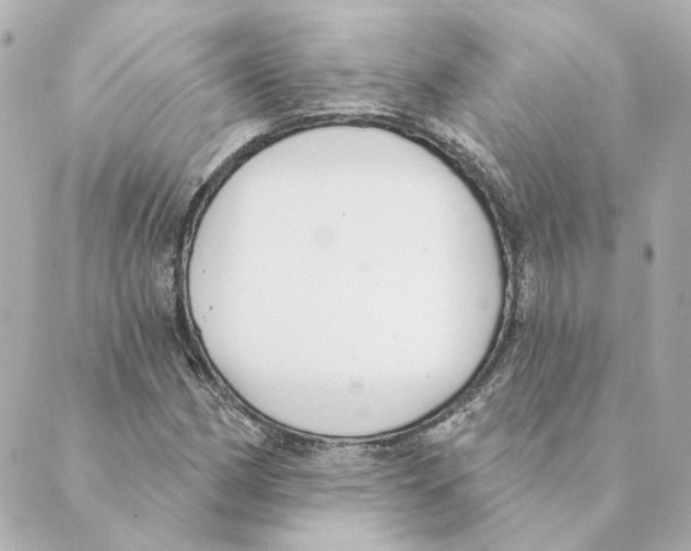 X0000088611162200706221423