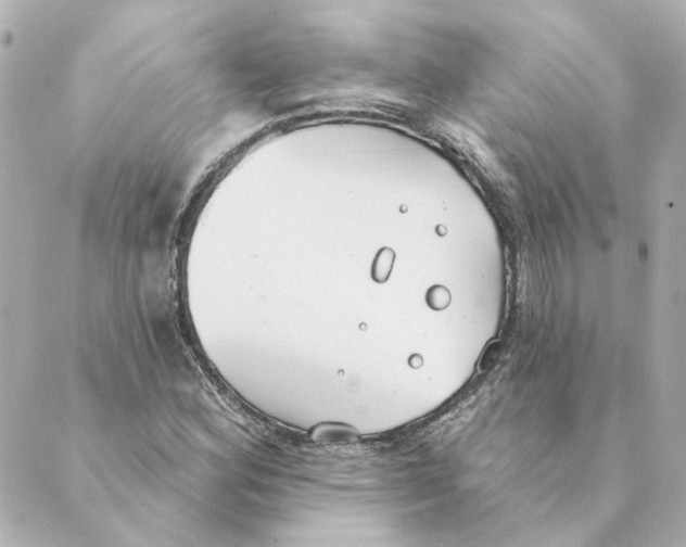 X0000088611164200706221423