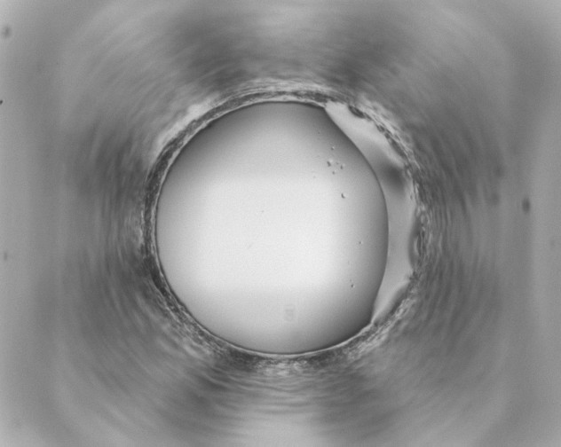 X0000088611165200706221423