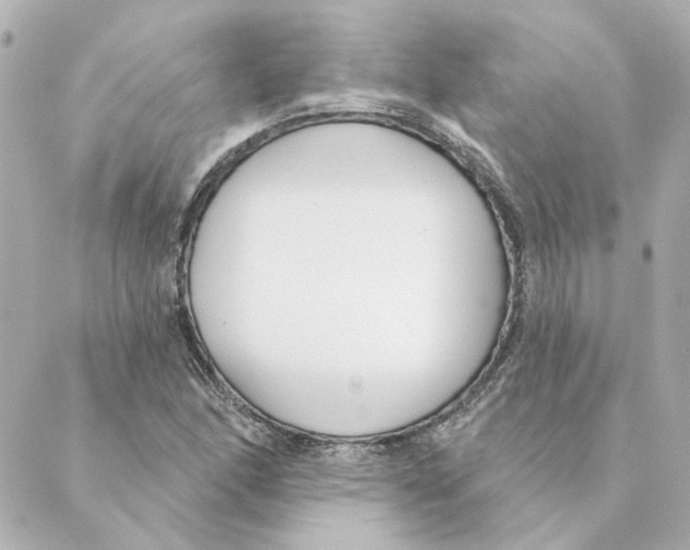 X0000088611166200706221423