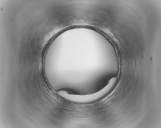 X0000088611167200706221423