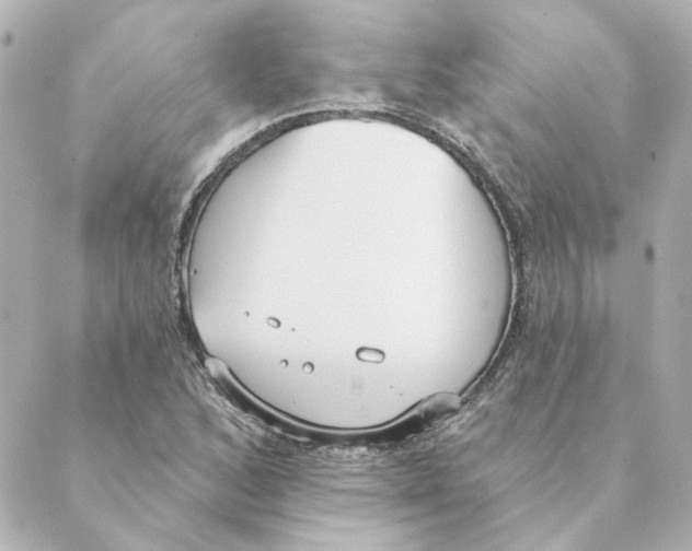 X0000088611168200706221423