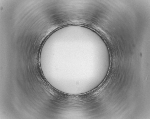 X0000088611170200706221423