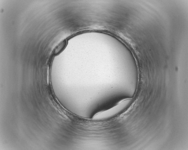 X0000088611171200706221423