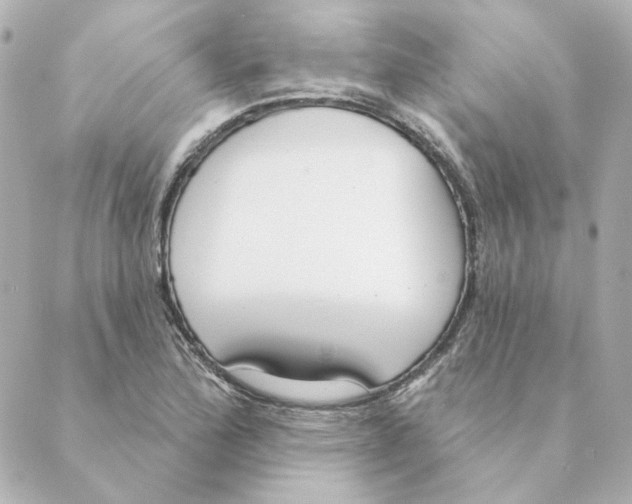 X0000088611172200706221423