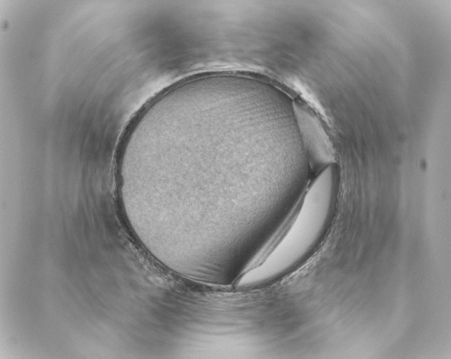 X0000088611173200706221423