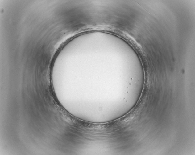 X0000088611174200706221423