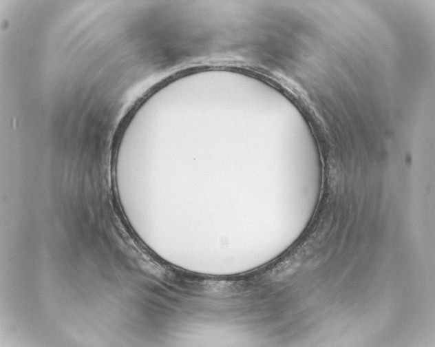 X0000088611176200706221423